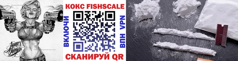 Купить закладки  Новая Ляля  Cocaine VHQ 