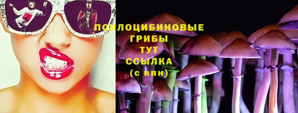 гашик Алексин