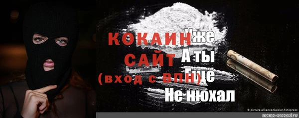 бошки Алзамай