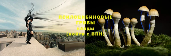 бошки Алзамай