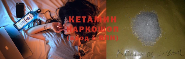 гашик Алексин