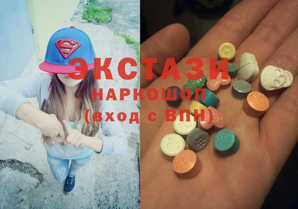 гашик Алексин