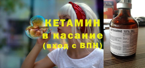гашик Алексин