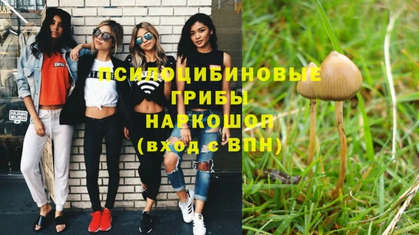 mix Алексеевка