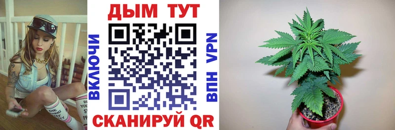 Конопля конопля  Купить закладки  Новая Ляля 